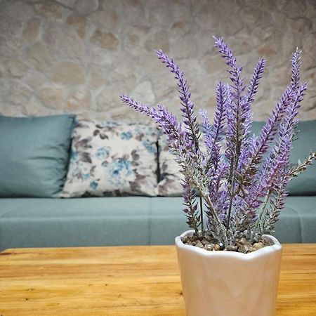 Dalmatia Rustica Comfortable One Bedroom+Fireplace Zara Esterno foto