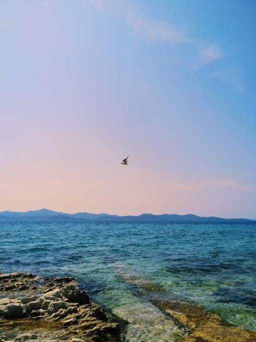 Dalmatia Rustica Comfortable One Bedroom+Fireplace Zara Esterno foto