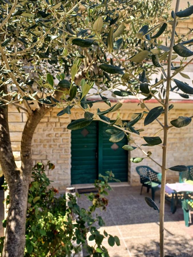 Dalmatia Rustica Comfortable One Bedroom+Fireplace Zara Esterno foto