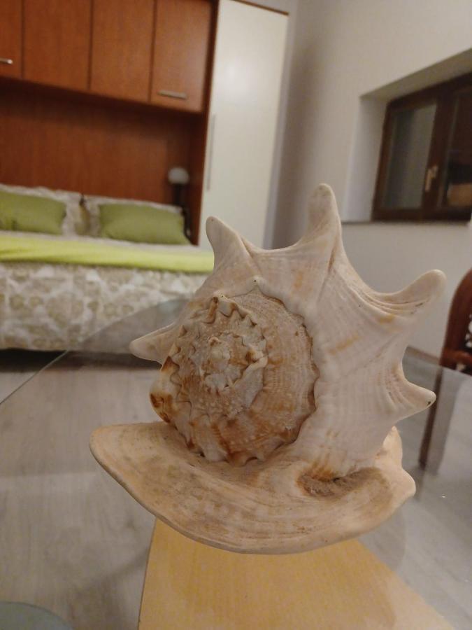Dalmatia Rustica Comfortable One Bedroom+Fireplace Zara Esterno foto